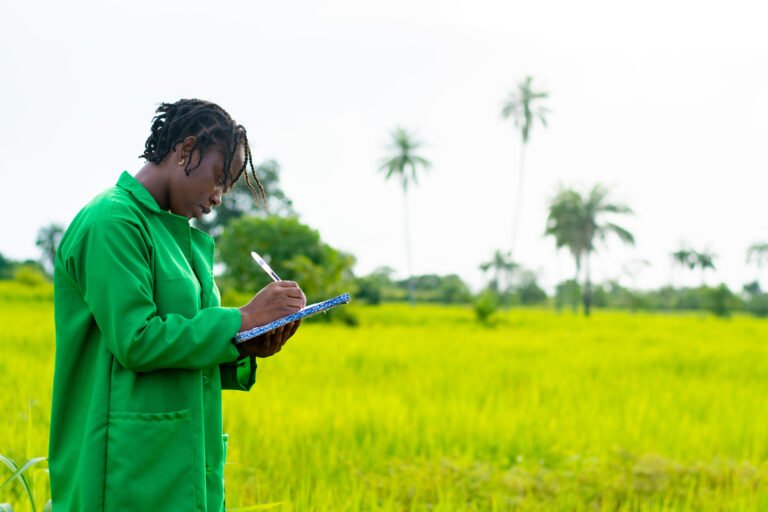 Diploma in Agribusiness, Post-Harvest and Food Security